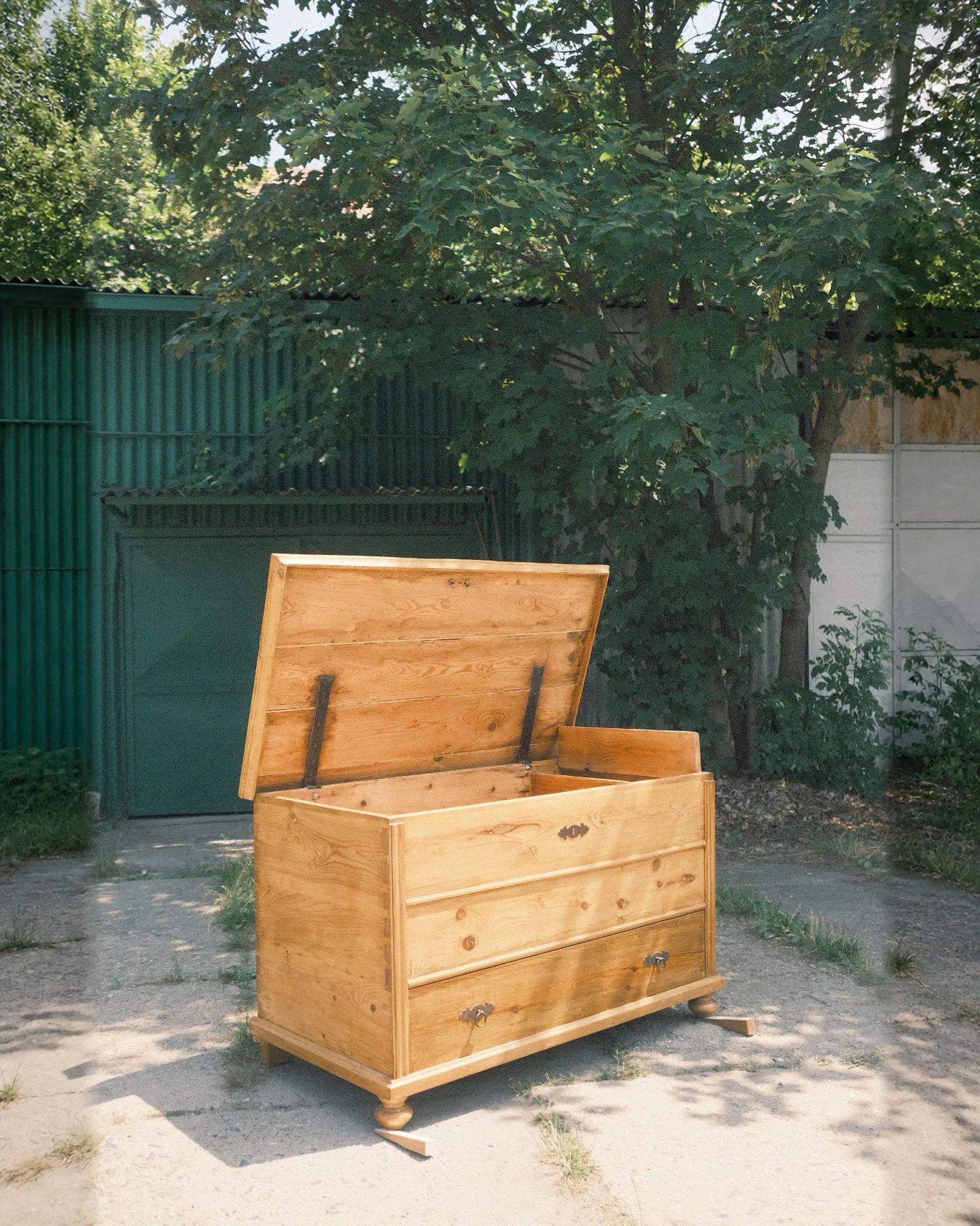 Truhlokomoda · fotka 3 z 12
