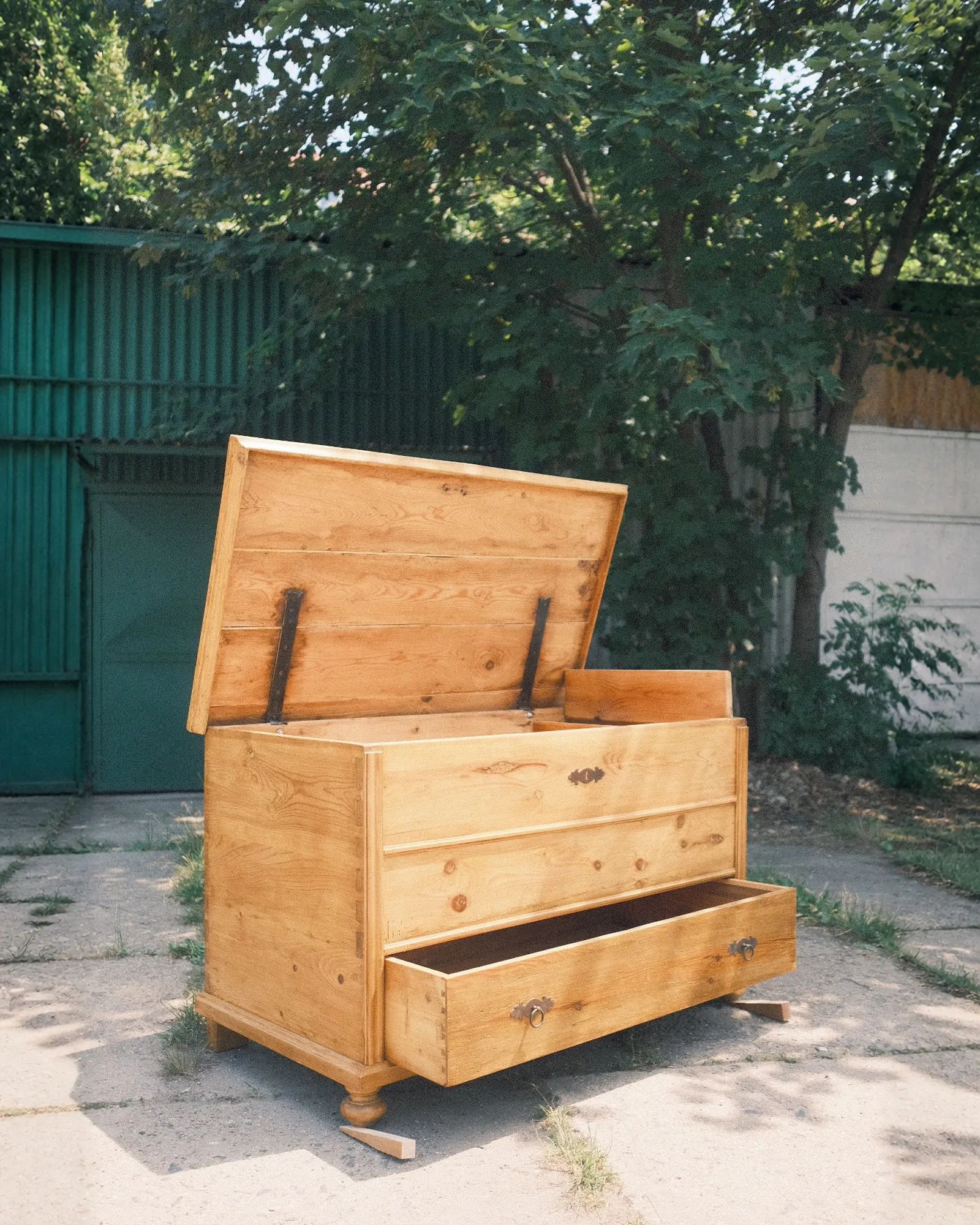 Truhlokomoda · fotka 7 z 12