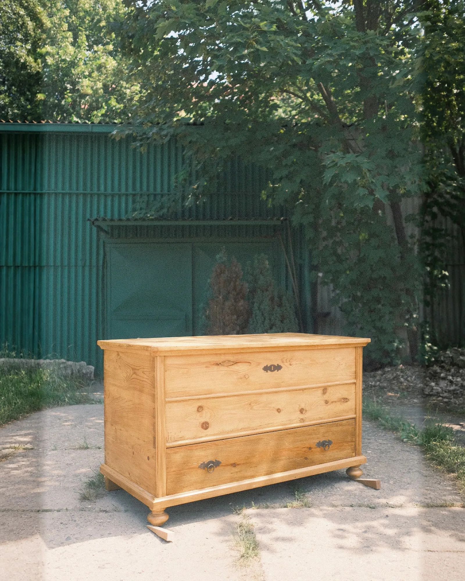 Truhlokomoda · fotka 12 z 12